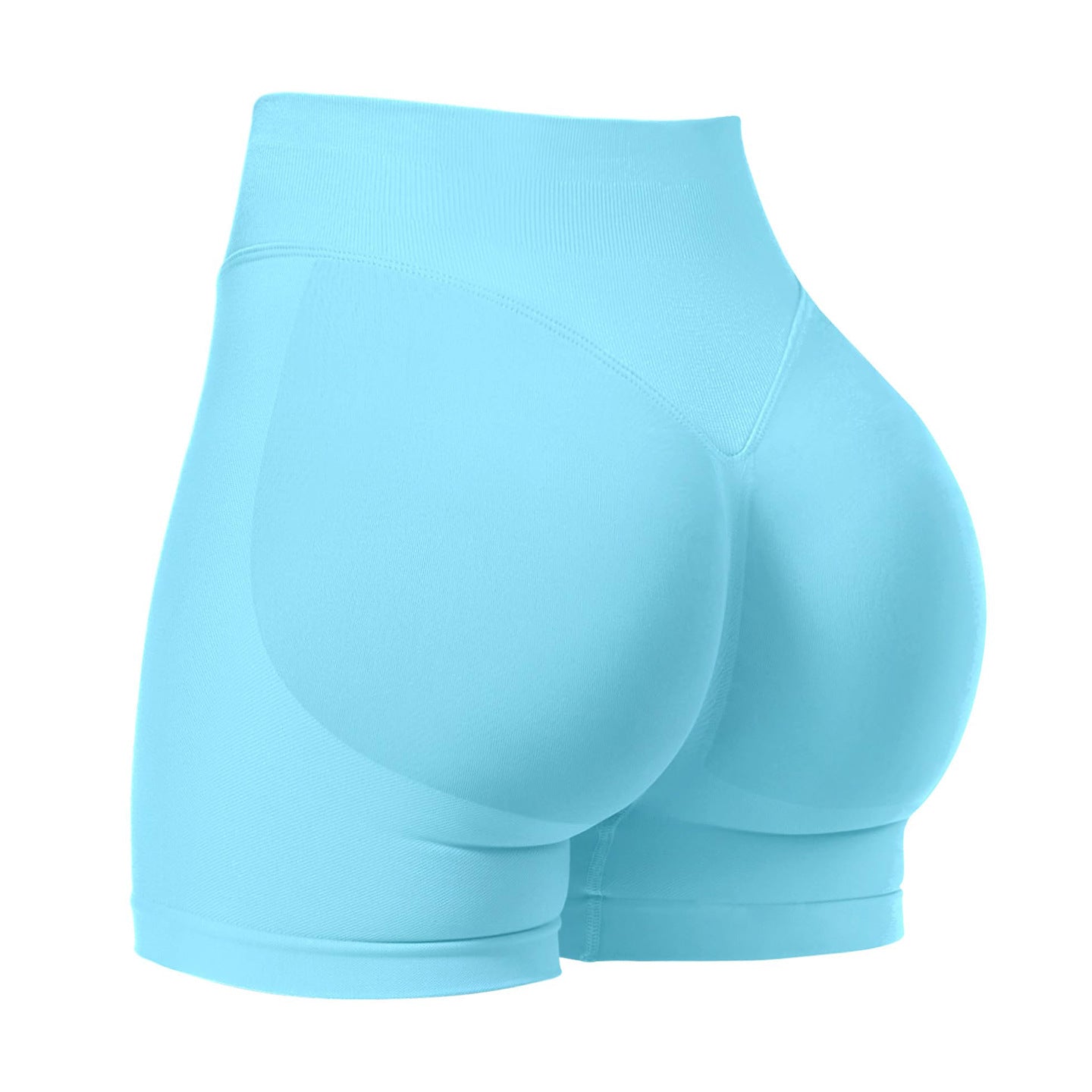 Sculpt Shorts | Seamless Activewear