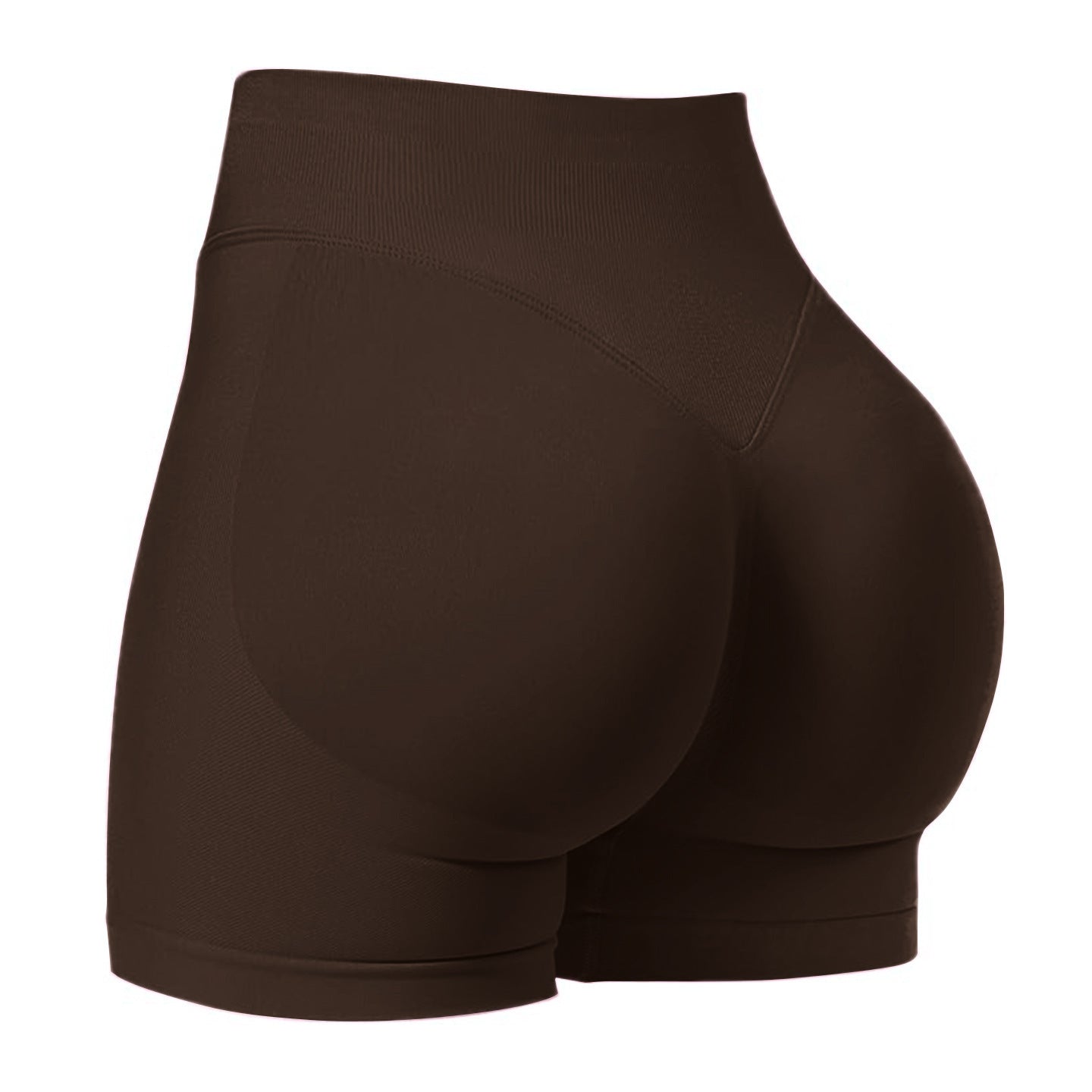 Sculpt Shorts | Seamless Activewear