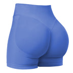 Sculpt Shorts | Seamless Activewear