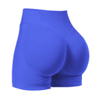 Sculpt Shorts | Seamless Activewear