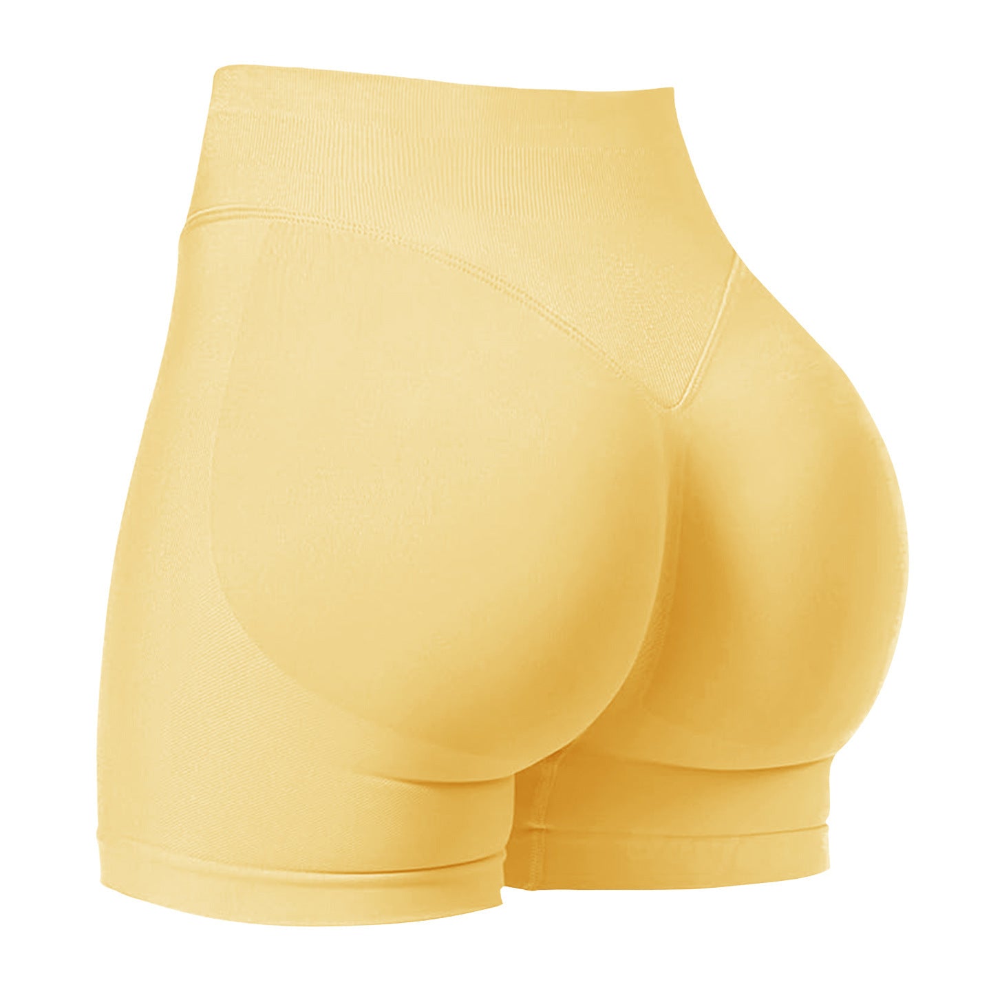 Sculpt Shorts | Seamless Activewear