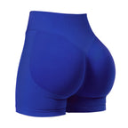 Sculpt Shorts | Seamless Activewear